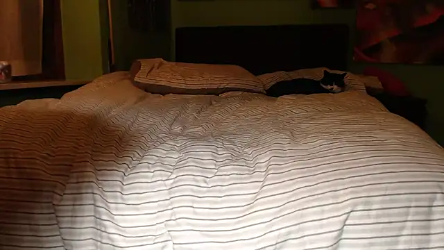 MASTERBULLY online show from 02-19-25, 11:36