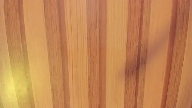 Snapshot of Taylor__cooper chatting on 11-15-25, 06:37 Taylor cooper online show from 11-15-25, 06:37