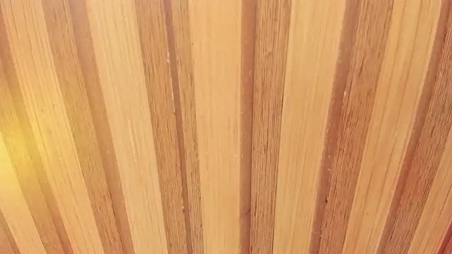 Taylor  cooper online show from 02-18-26, 06:37