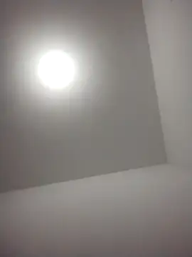 barboza991 online show from 12-28-24, 11:48