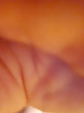 alienbunny online show from 11-17-25, 05:13