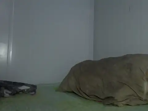 Snapshot of serjdj90 chatting on 11-11-25, 08:03 serjdj90 online show from 11-11-25, 08:03