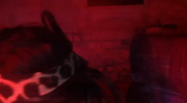 iva spirit online show from 02-09-25, 07:52