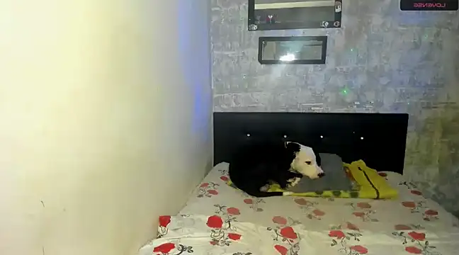 danna sofiah online show from 02-18-25, 03:32