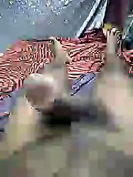 mallucallboy2104 online show from 12-30-24, 07:21