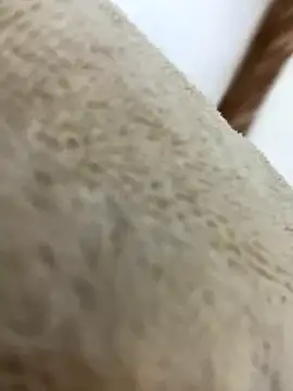 mjnas online show from 12-04-24, 08:12