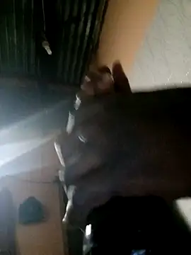 TastyAfrica online show from 02-10-26, 05:28