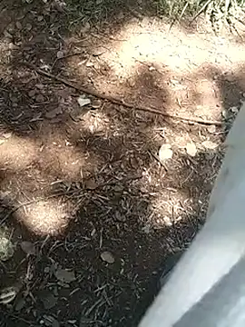 mehdi-l7away online show from 04-16-26, 12:06