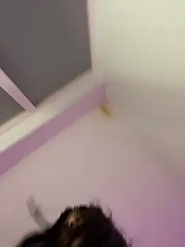 bonnie 18x online show from 02-26-25, 05:31