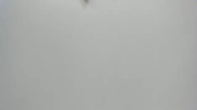 Snapshot of Amy_wats0n chatting on 01-08-25, 07:03 Amy wats0n online show from 01-08-25, 07:03