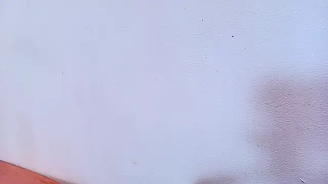 Snapshot of Amy_wats0n chatting on 03-12-25, 10:07 Amy wats0n online show from 03-12-25, 10:07