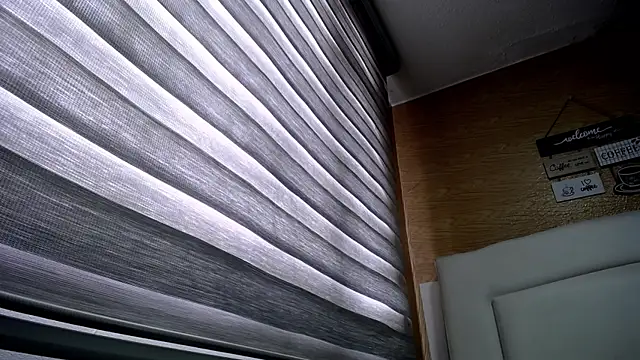 palmer mIix online show from 12-02-24, 03:14