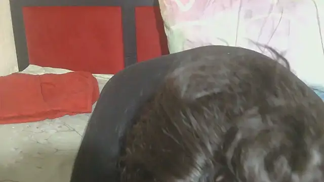 Snapshot of MaximTease24 chatting on 06-12-26, 10:41 MaximTease24 online show from 06-12-26, 10:41