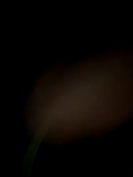 satrr xxx online show from 09-29-25, 08:24