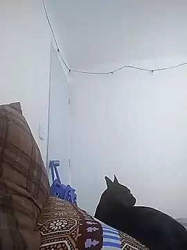 Snapshot of maria_lasexy chatting on 12-05-24, 03:39 maria lasexy online show from 12-05-24, 03:39