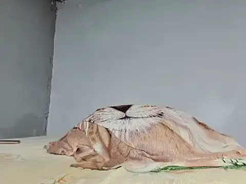 Snapshot of jeffblack2 chatting on 02-01-25, 05:16 jeffblack2 online show from 02-01-25, 05:16