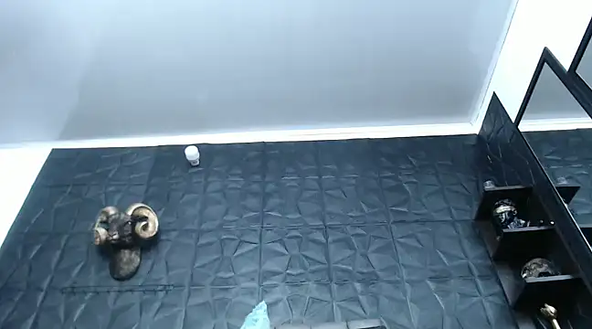 Snapshot of Hanna_Fox_69 chatting on 12-29-24, 12:34 Hanna Fox 69 online show from 12-29-24, 12:34