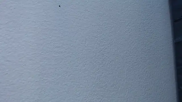 Snapshot of Hanna_Fox_69 chatting on 02-15-25, 06:02 Hanna Fox 69 online show from 02-15-25, 06:02