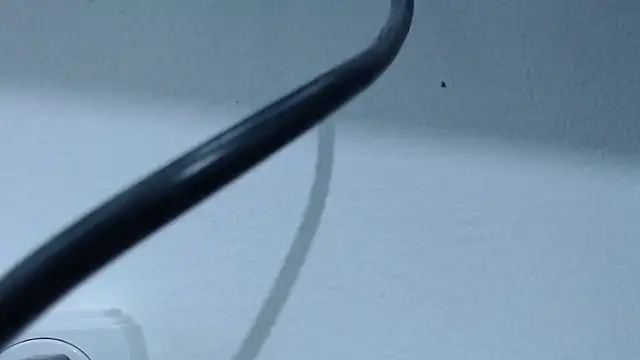 Snapshot of Hanna_Fox_69 chatting on 02-28-25, 07:37 Hanna Fox 69 online show from 02-28-25, 07:37