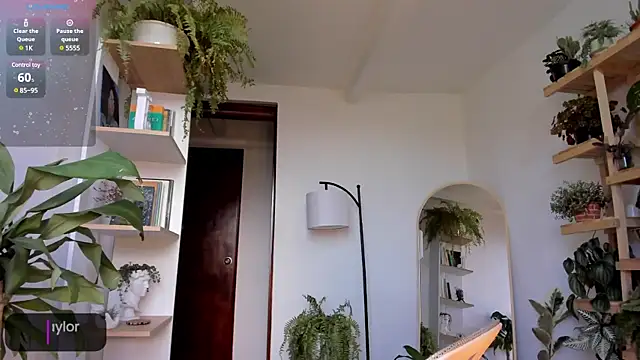 Johaphyton online show from 01-18-25, 09:13