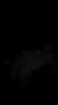 Snapshot of Deniell-01 chatting on 03-19-25, 10:20 Deniell-01 online show from 03-19-25, 10:20