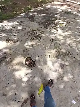 sudhastriper online show from 10-26-25, 07:58