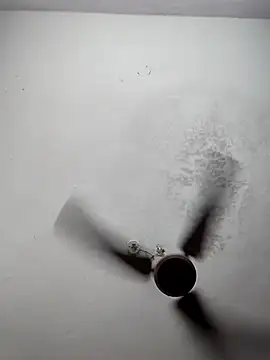 sana14 online show from 03-09-26, 06:23