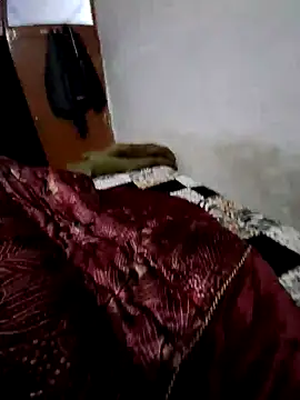 Snapshot of menakshiiikaur chatting on 12-13-24, 02:16 menakshiiikaur online show from 12-13-24, 02:16