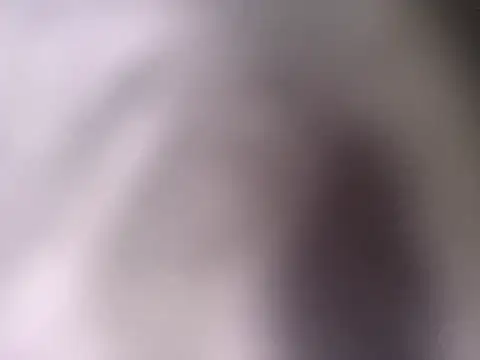 Snapshot of pantomax chatting on 09-20-25, 08:48 pantomax online show from 09-20-25, 08:48