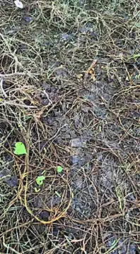 tamil000000 online show from 03-16-25, 01:38