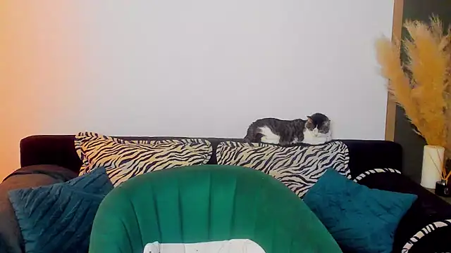 rora skyline online show from 03-05-26, 01:18