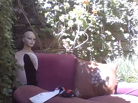 Snapshot of sweetbabyass chatting on 03-14-25, 04:51 sweetbabyass online show from 03-14-25, 04:51