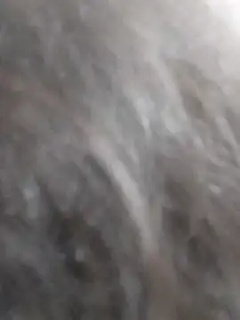 Snapshot of kobita_Mohali chatting on 09-14-25, 08:13 kobita Mohali online show from 09-14-25, 08:13