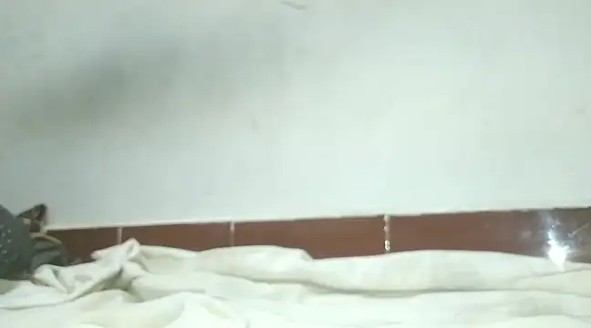 Snapshot of alansteer chatting on 02-07-25, 06:45 alansteer online show from 02-07-25, 06:45