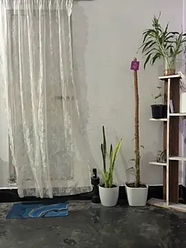 mikemacluffy online show from 09-25-25, 04:00