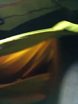 Snapshot of BrownPrez chatting on 12-21-24, 01:58 BrownPrez online show from 12-21-24, 01:58