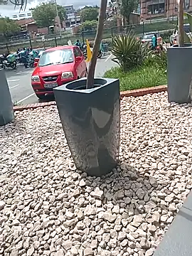 Snapshot of Lexwelll chatting on 03-16-25, 11:05 Lexwelll online show from 03-16-25, 11:05