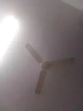 Snapshot of jenilmax chatting on 12-16-24, 04:49 jenilmax online show from 12-16-24, 04:49