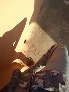 Snapshot of PracticalGum40 chatting on 01-11-26, 03:33 PracticalGum40 online show from 01-11-26, 03:33