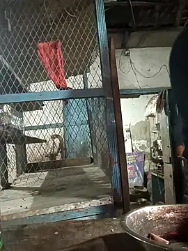 Skinny Bigass 23 online show from 02-10-25, 02:59