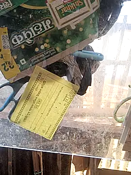 Skinny Bigass 23 online show from 11-16-25, 07:25