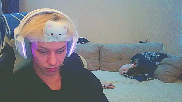 Ostin meow online show from 12-14-24, 12:44