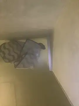 Tommy y Pamela online show from 02-17-26, 03:25