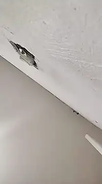 cerejinha hot online show from 12-16-24, 04:34