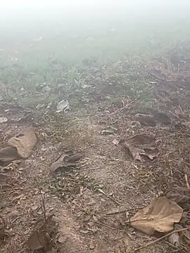 imissyoumylove14 online show from 01-17-26, 01:32