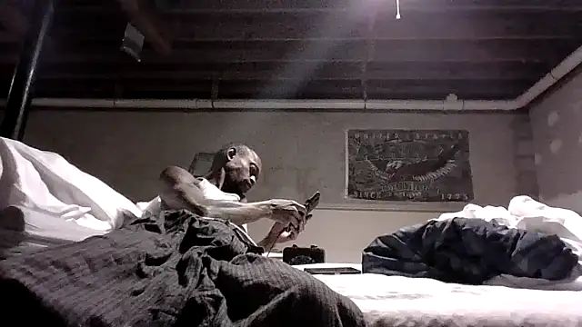 Snapshot of KinGKane84 chatting on 12-24-24, 06:44 KinGKane84 online show from 12-24-24, 06:44