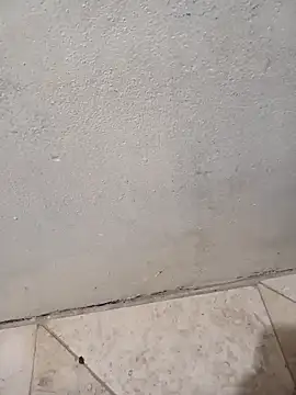 Snapshot of lemon69Reo chatting on 02-08-26, 06:39 lemon69Reo online show from 02-08-26, 06:39