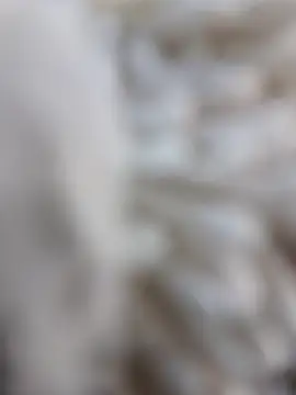 Snapshot of lemon69Reo chatting on 02-15-26, 08:38 lemon69Reo online show from 02-15-26, 08:38