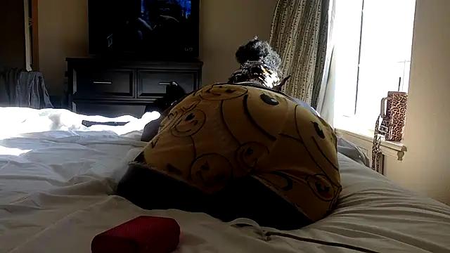 Cocabugattibad online show from 03-02-25, 10:05