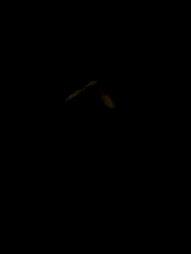 Snapshot of DaWoD030 chatting on 01-19-25, 05:18 DaWoD030 online show from 01-19-25, 05:18